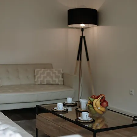 Stilvolles Appartement Mit Blick Auf Das Dreifluesse-Eck Passau Exterior foto