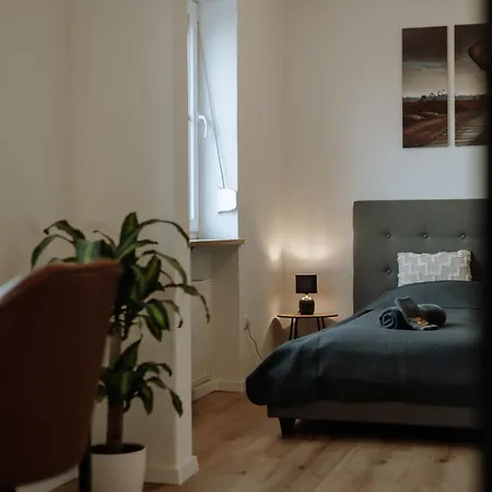 Stilvolles Appartement Mit Blick Auf Das Dreifluesse-Eck Passau Exterior foto