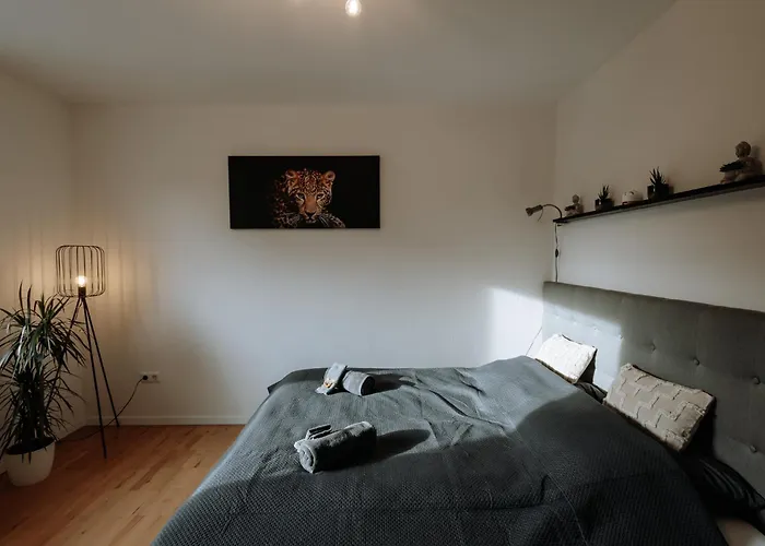 Stilvolles Appartement Mit Blick Auf Das Dreifluesse-Eck