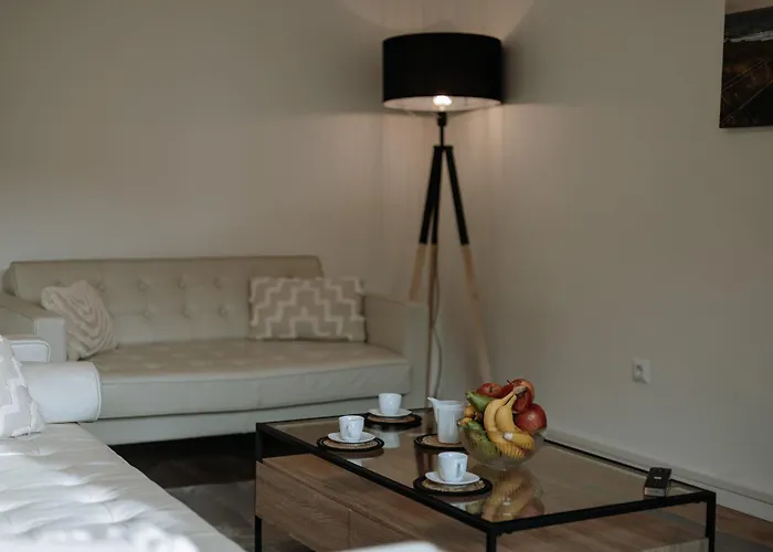 Stilvolles Appartement Mit Blick Auf Das Dreifluesse-Eck